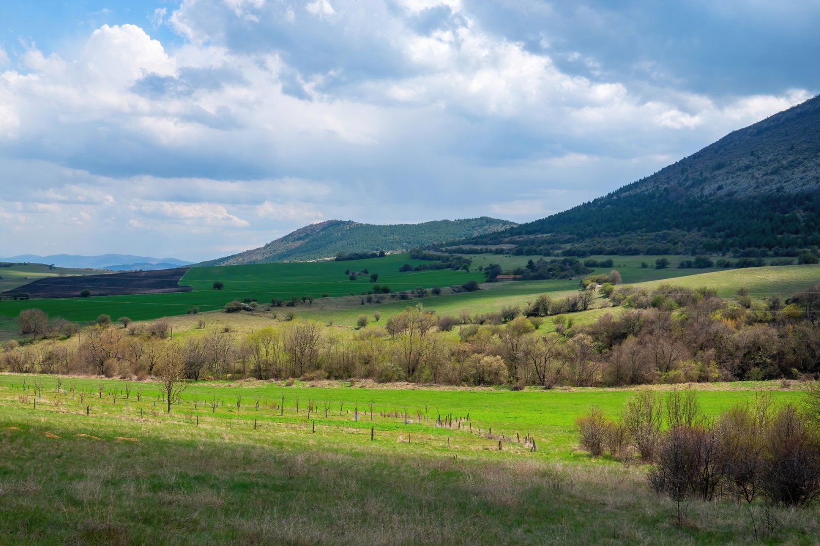 Околностите на с.Трън