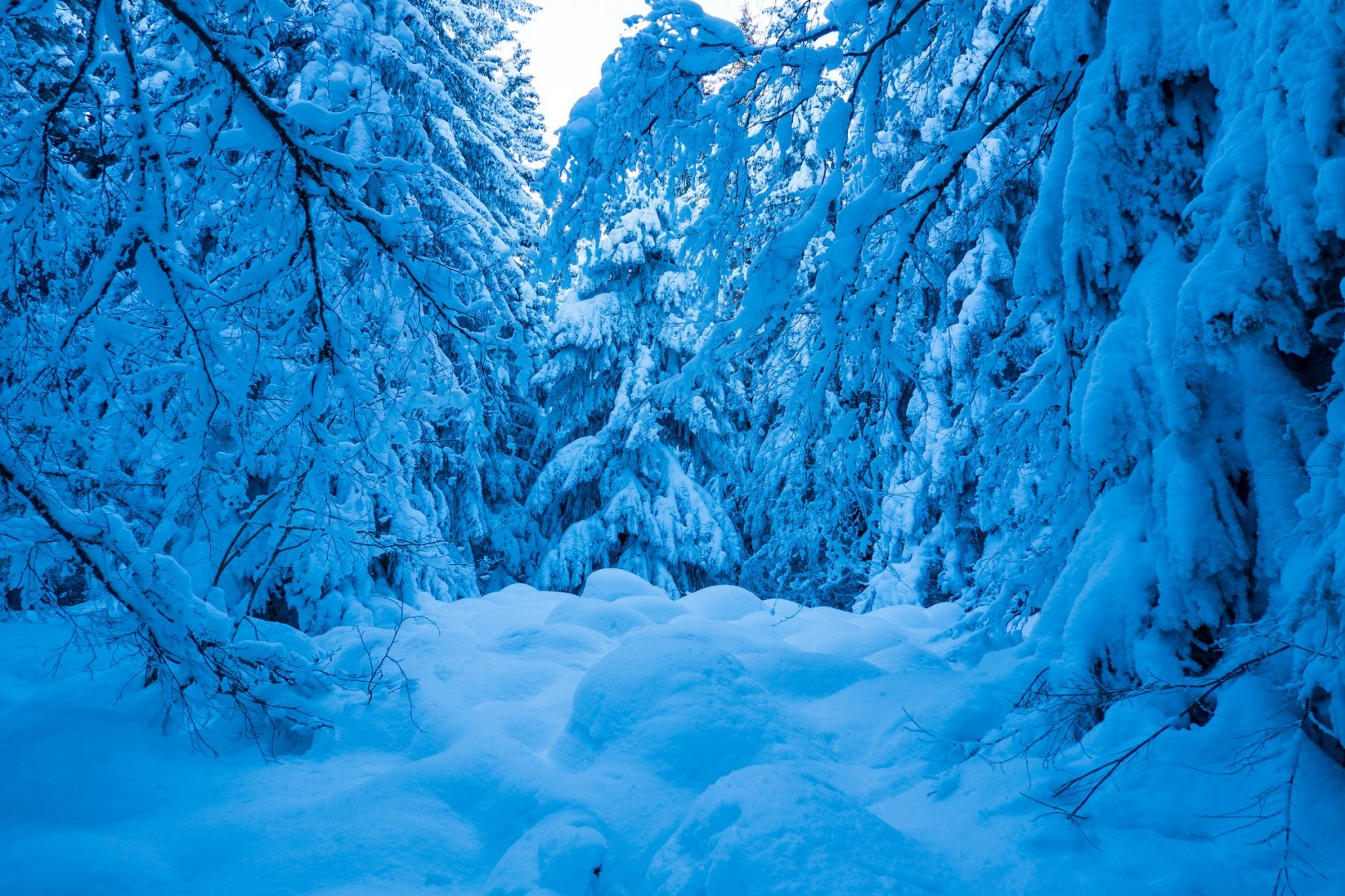 Снежна разходка-11.02.23