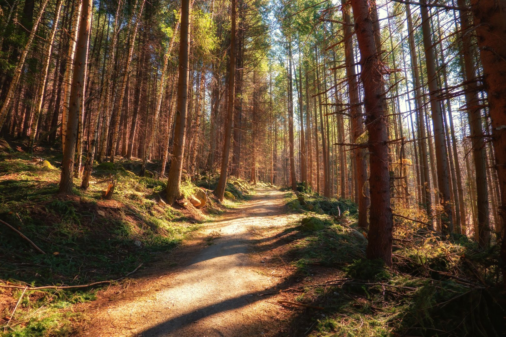 с.Кладница-х.Селимица-Златните мостове