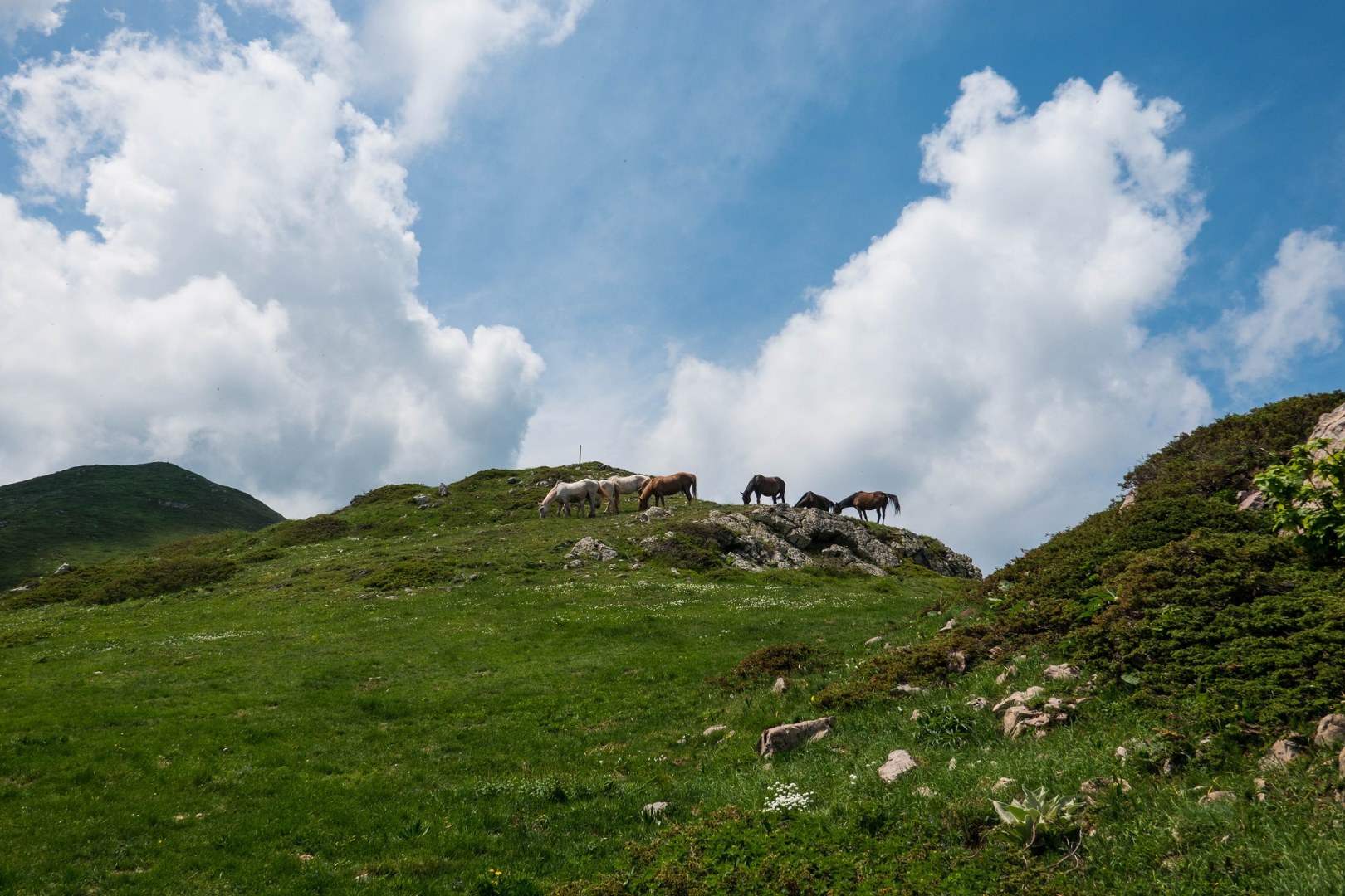 х.Козя стена