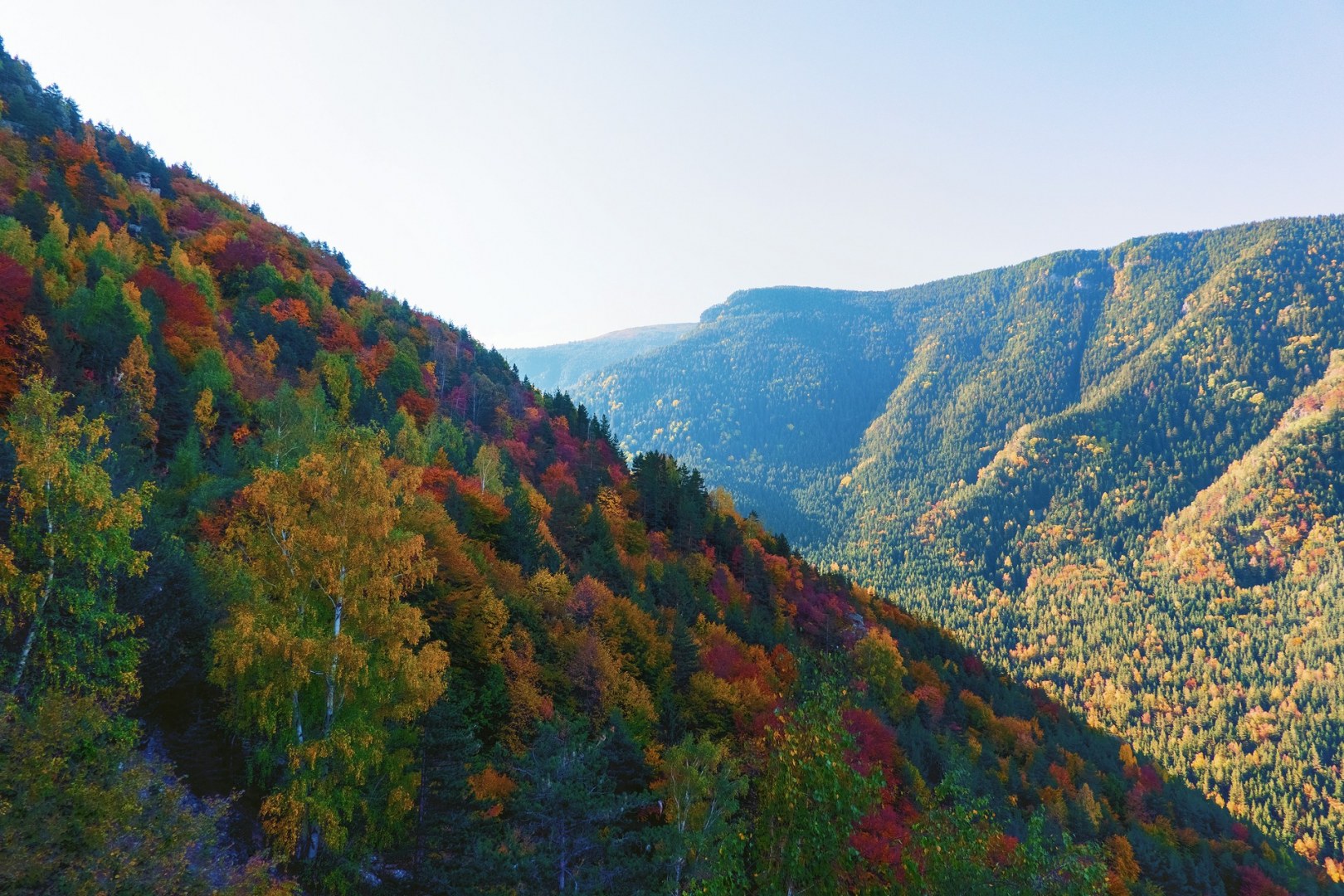 х. Скакавица