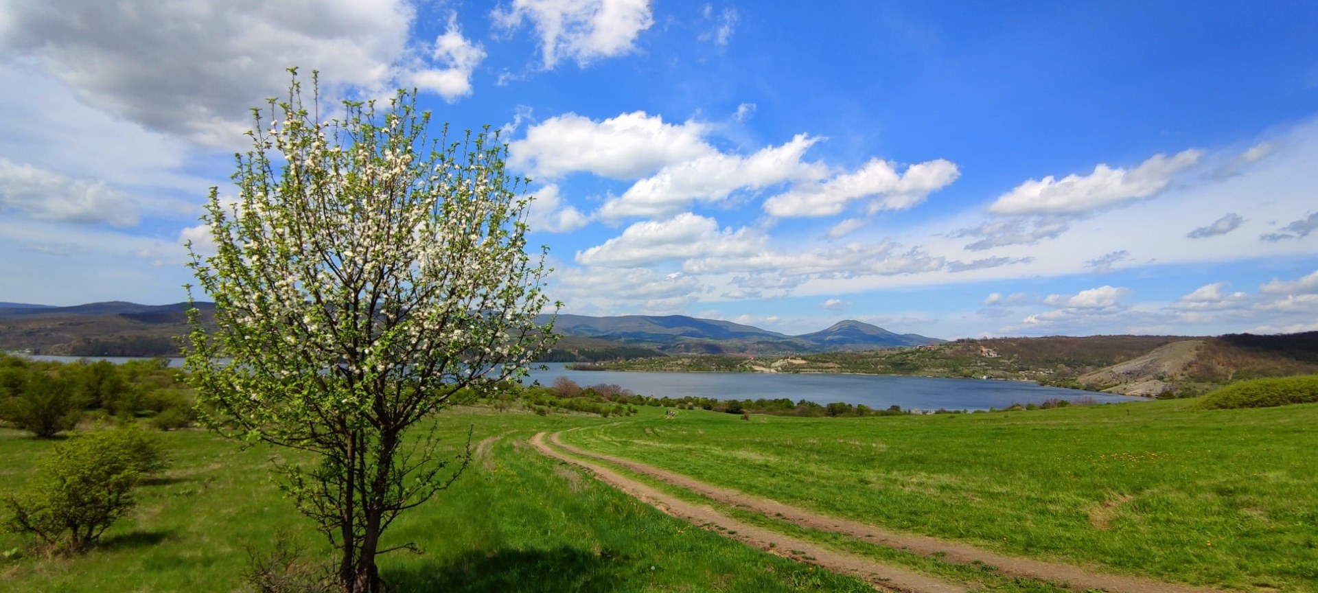 Язовир Пчелин