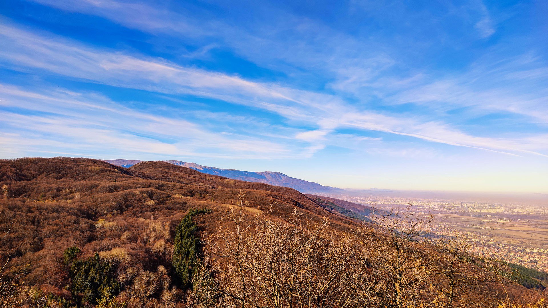 Връх Половрак
