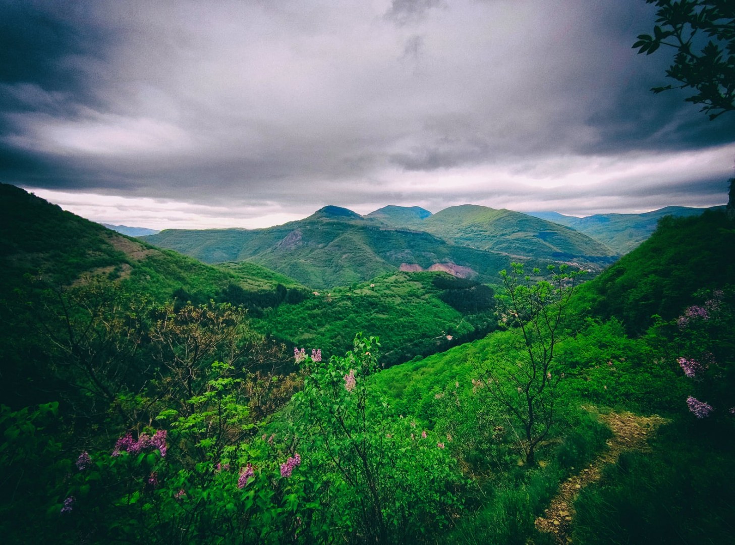 Вазова екопътека