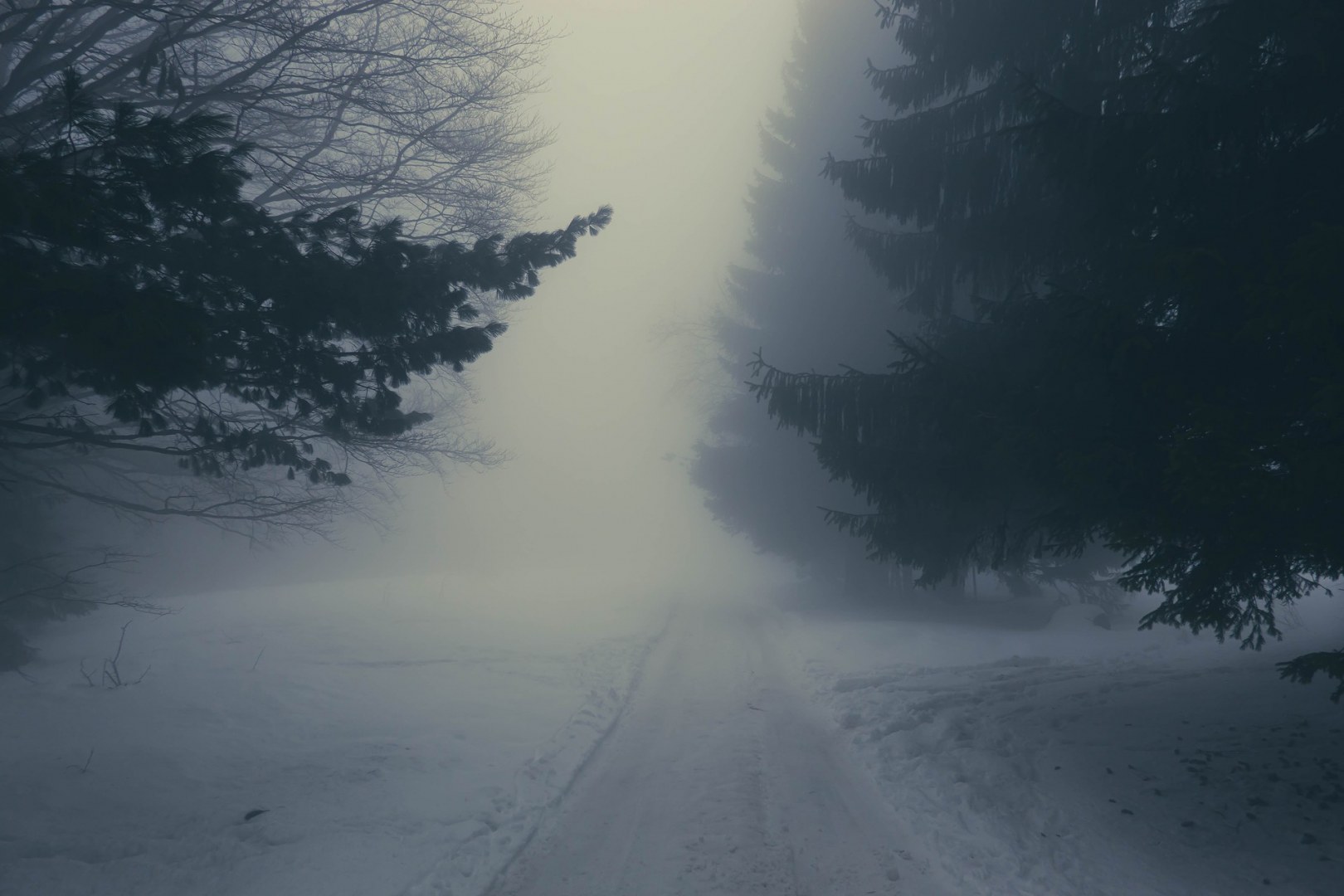 Витоша 12.02.22