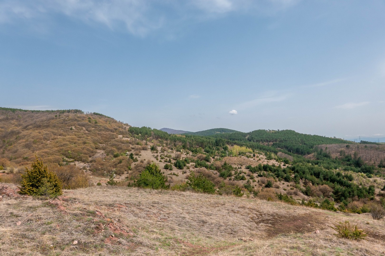 Локорско-22.04.2022