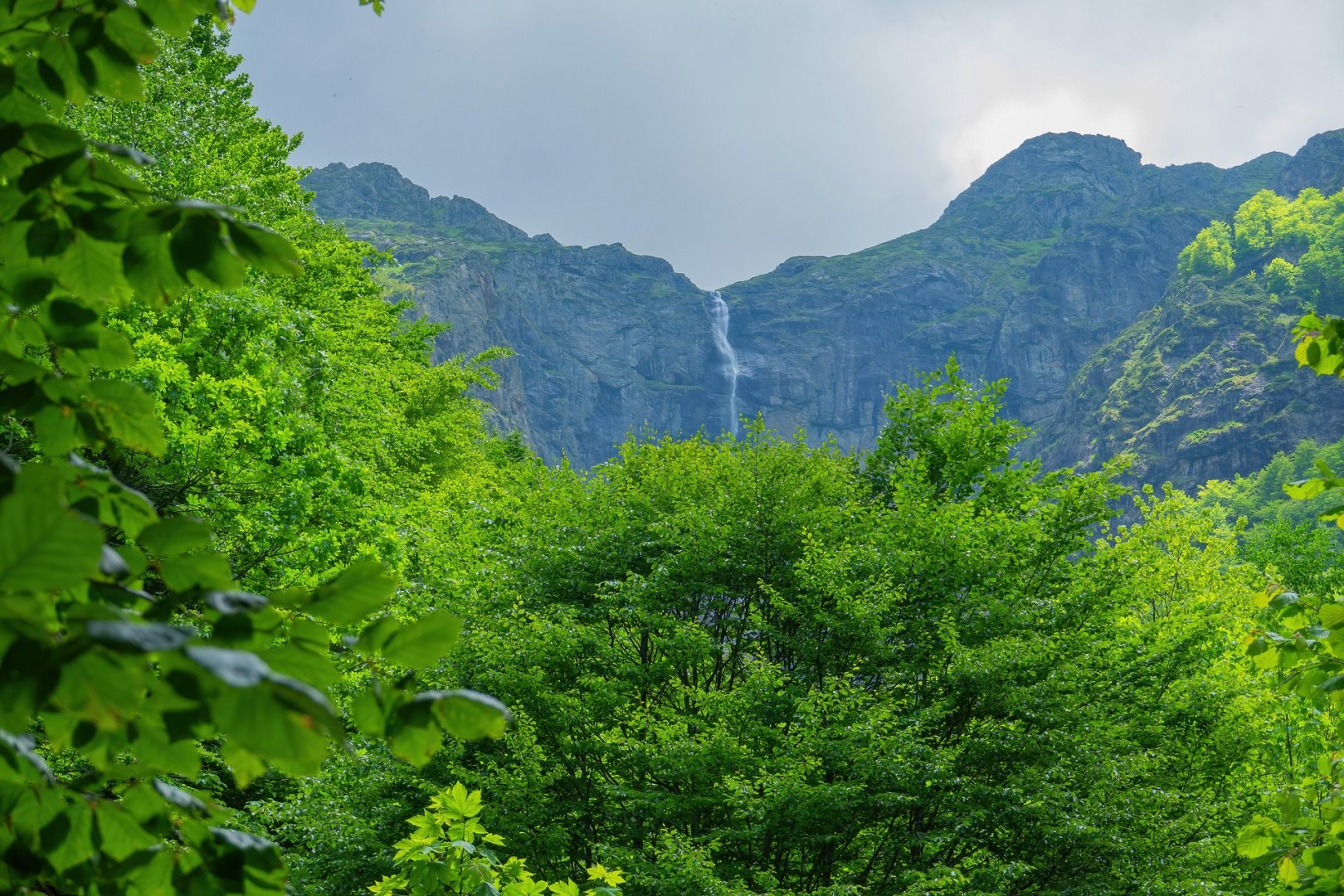 Видимско пръскало - 10.06.23г.
