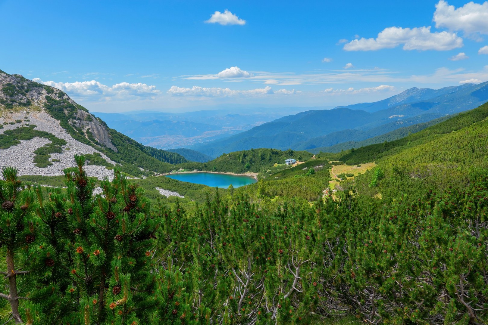 Синаница-29.07.23