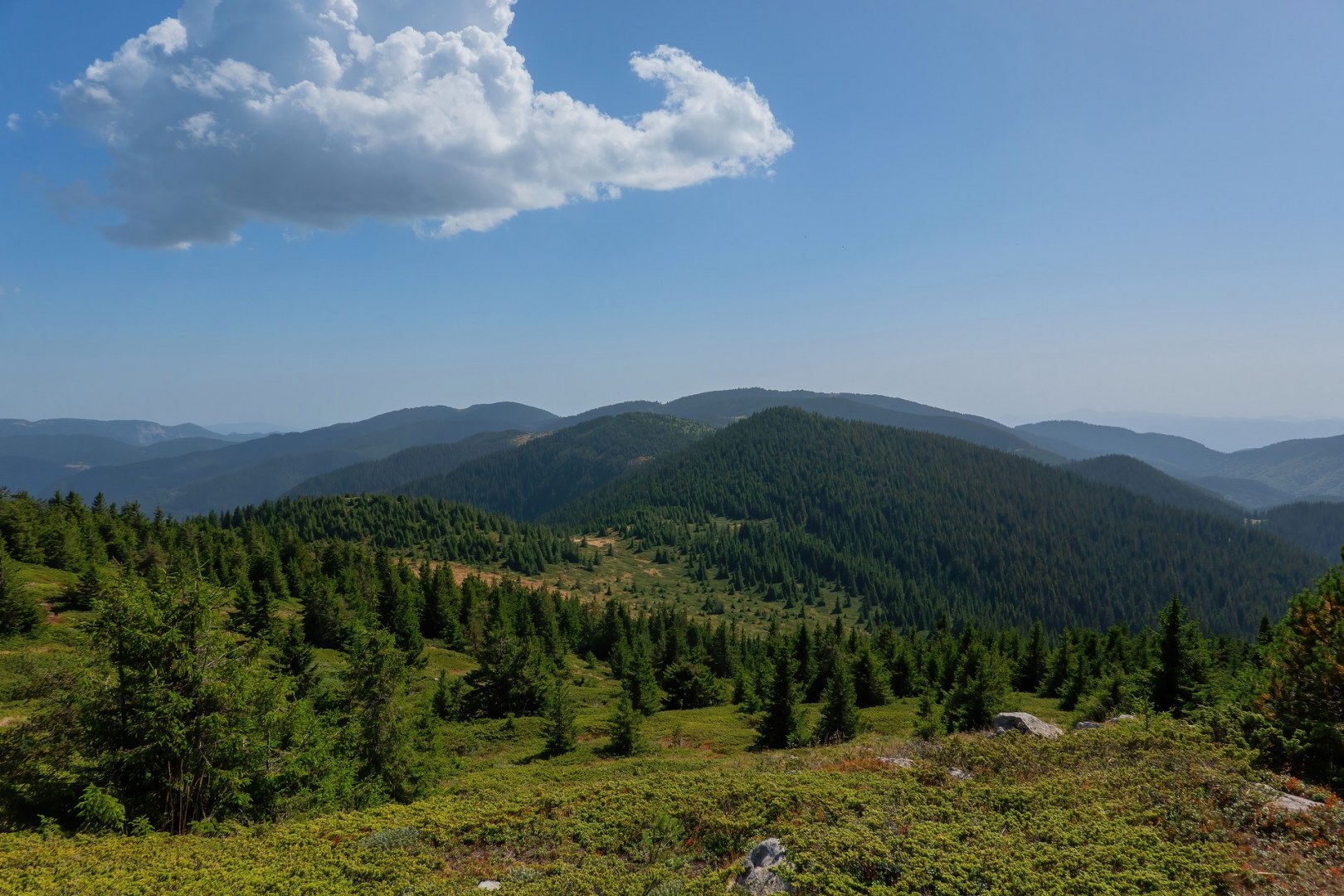 С.Ягодина-вр.Орфей