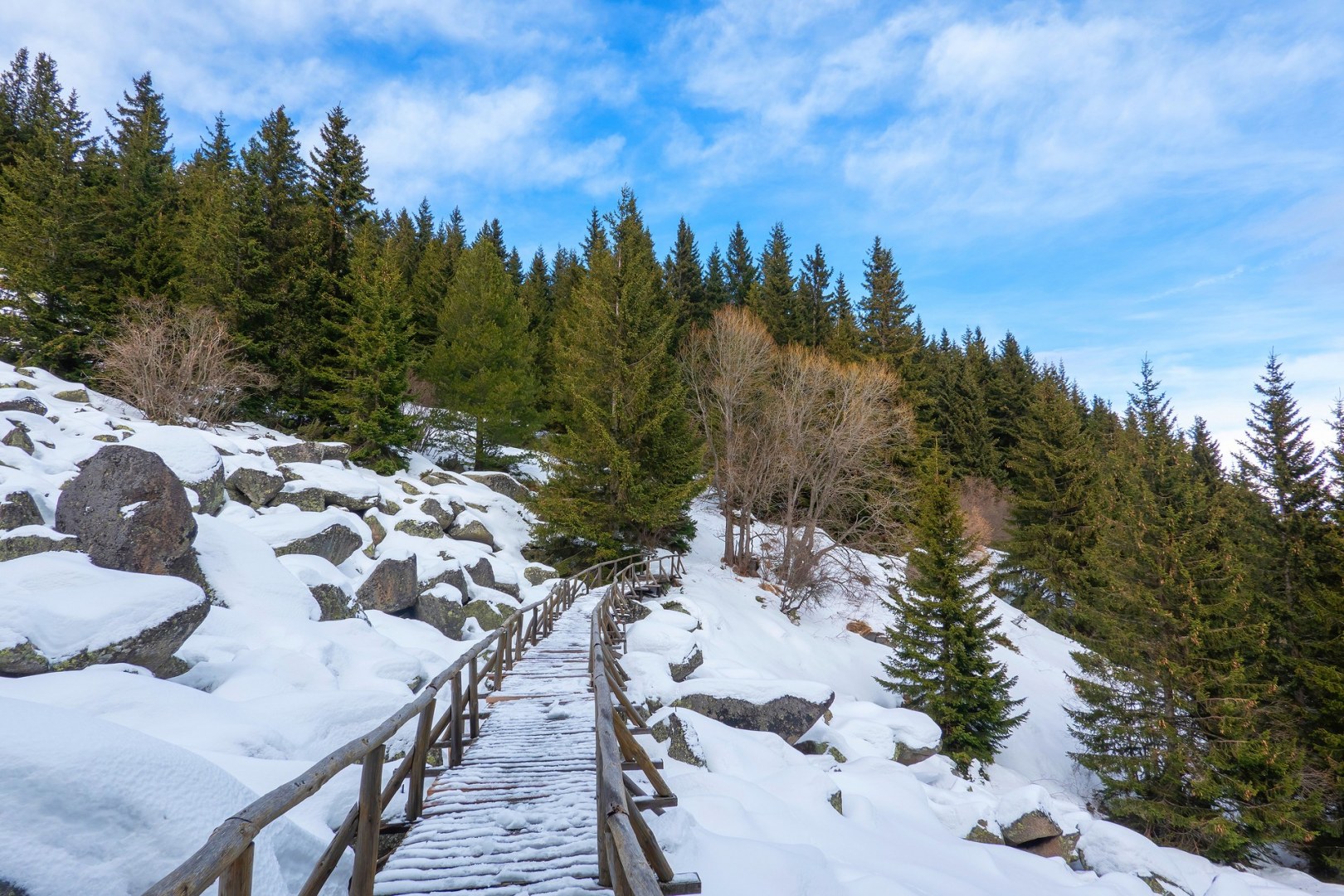 с. Бистрица - х.Алеко 6.01.23г