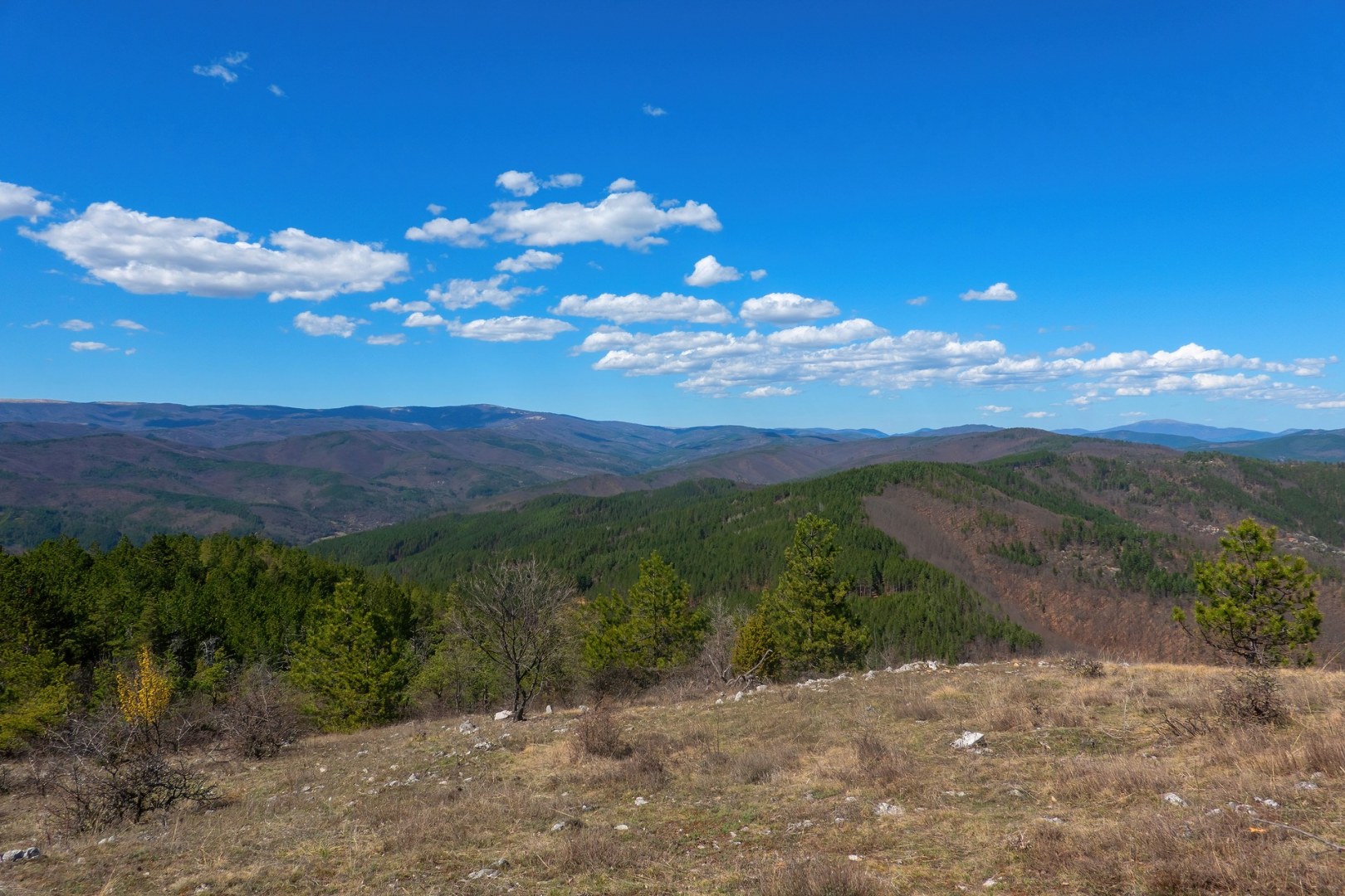 вр.Шильоко -30.03.24