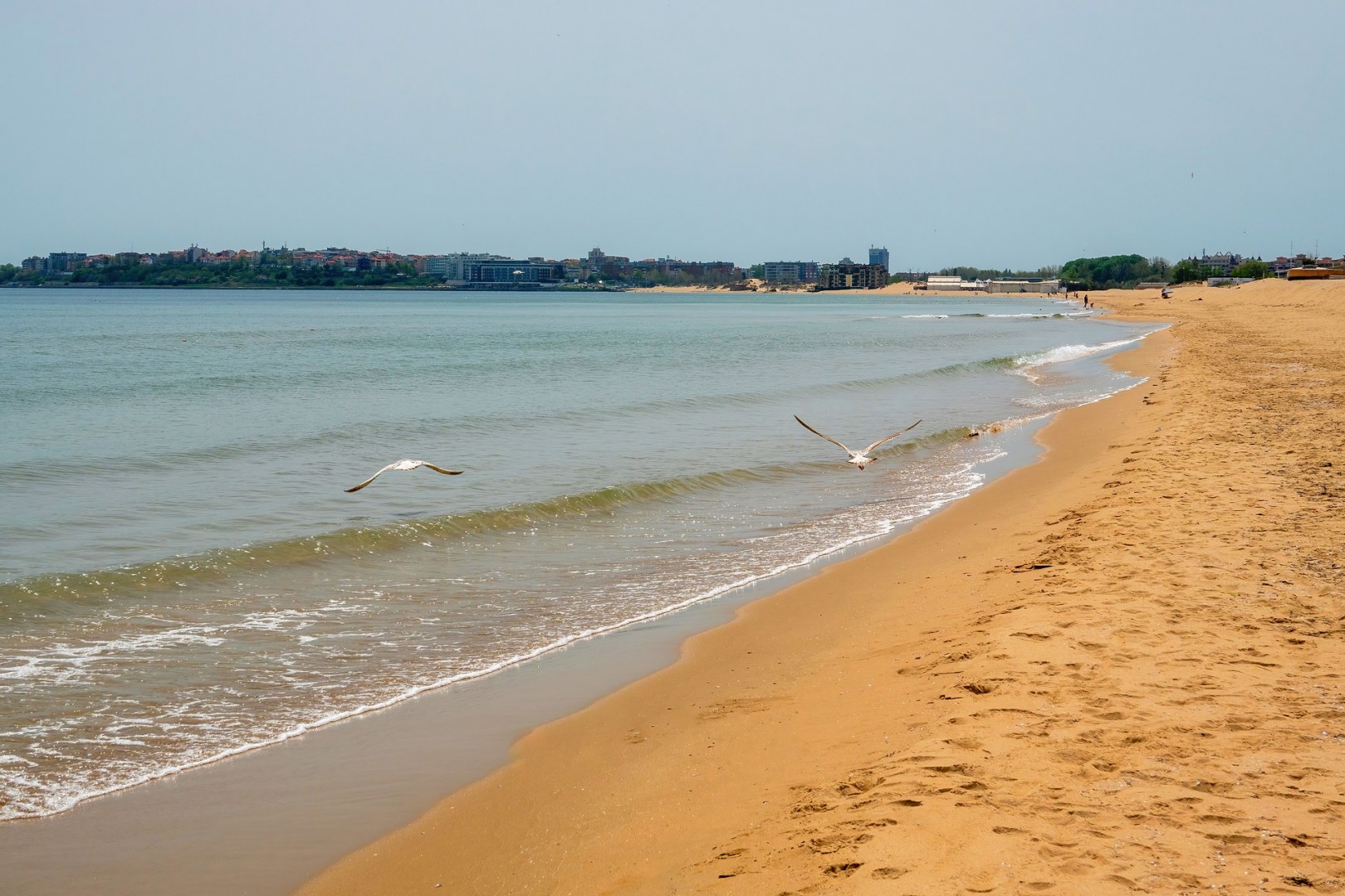 Слънчев бряг-16.04.24г.