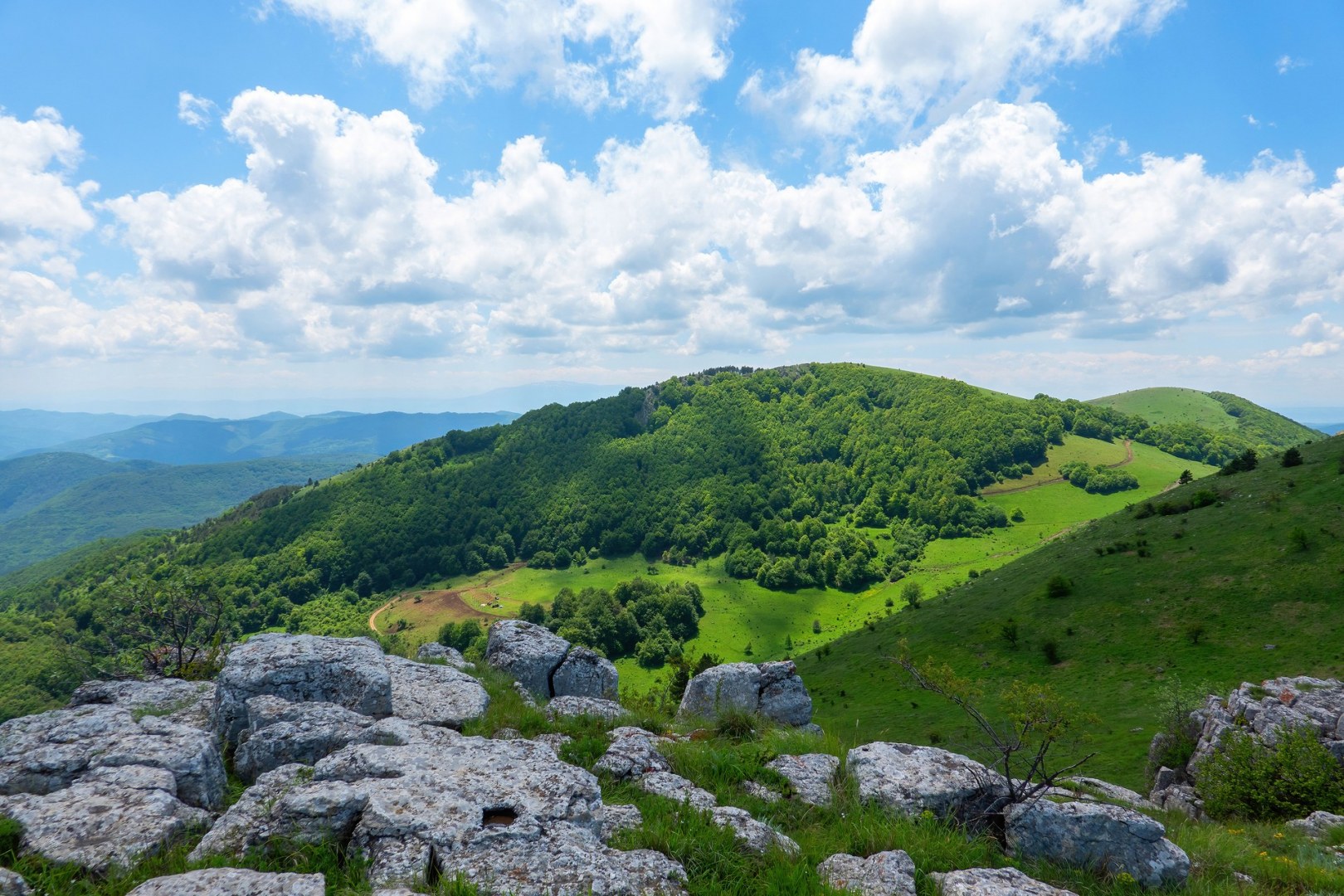 вр.Була - 25.05.24
