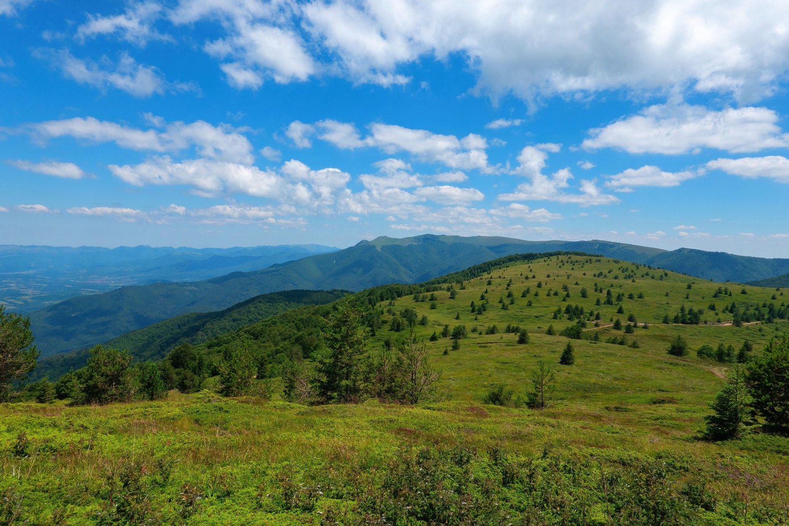 х.Петрохан-вр.Малък Ком-06.07.24г.