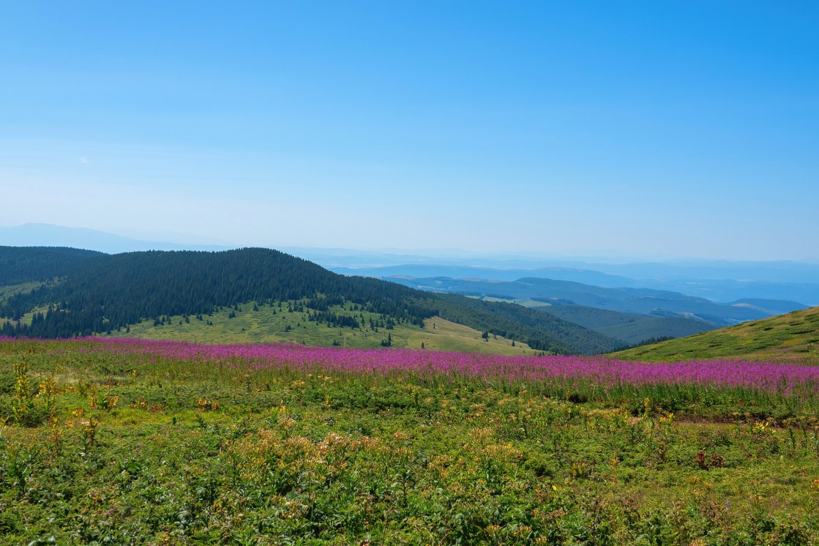 вр.Ком -27.07.24г.