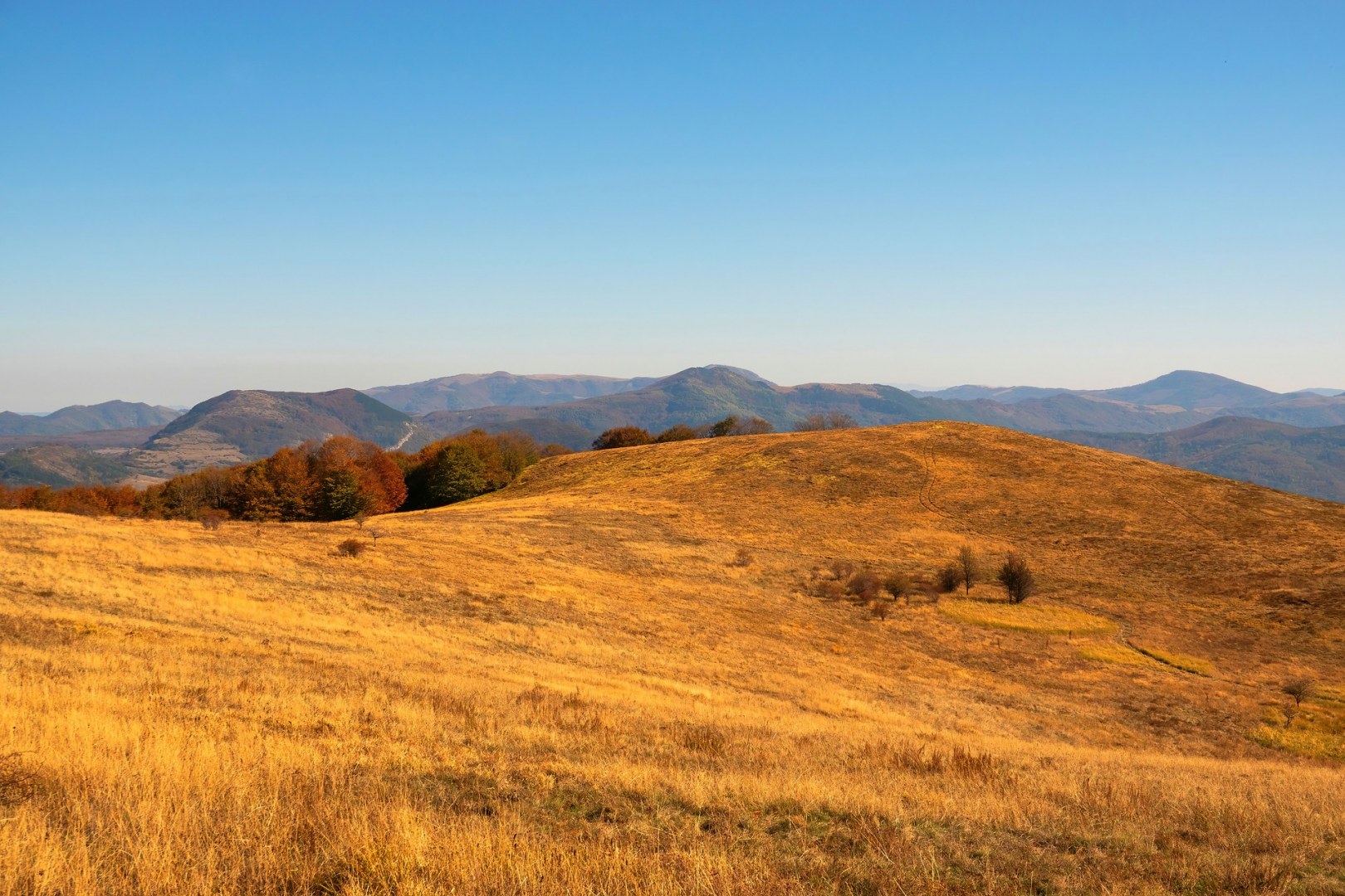 вр.Сърбеница и вр.Драгоданица - 19.10.24г.