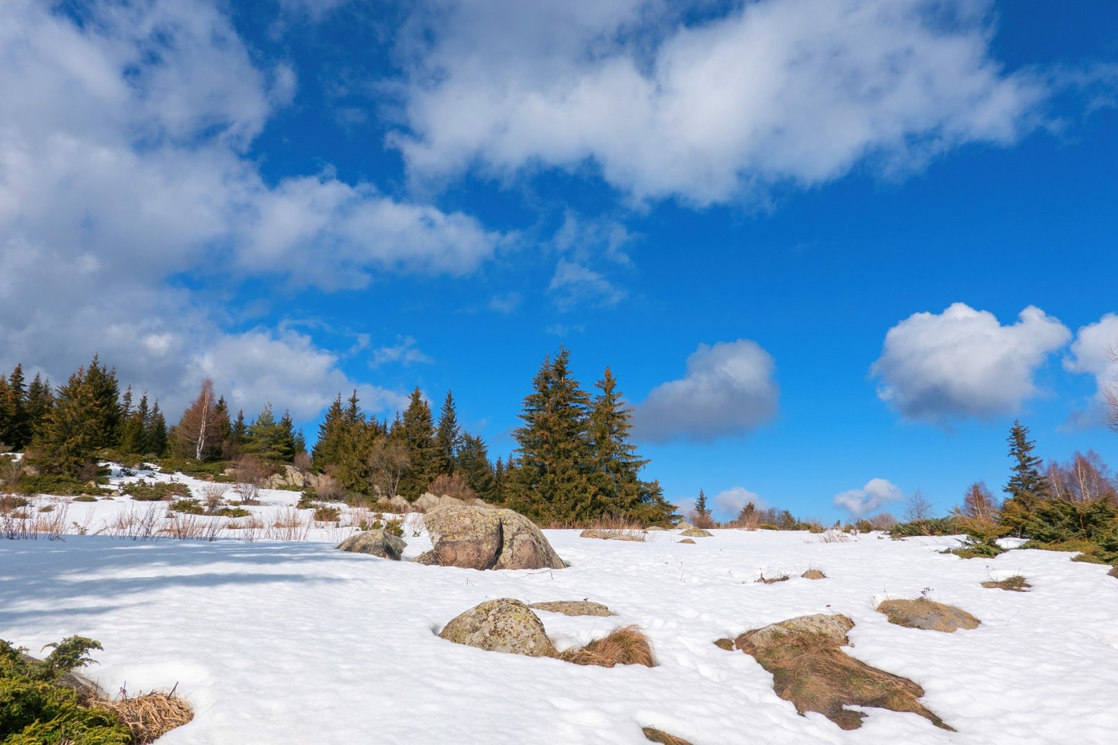 С.Кладница-Златните мостове-2025-02-01