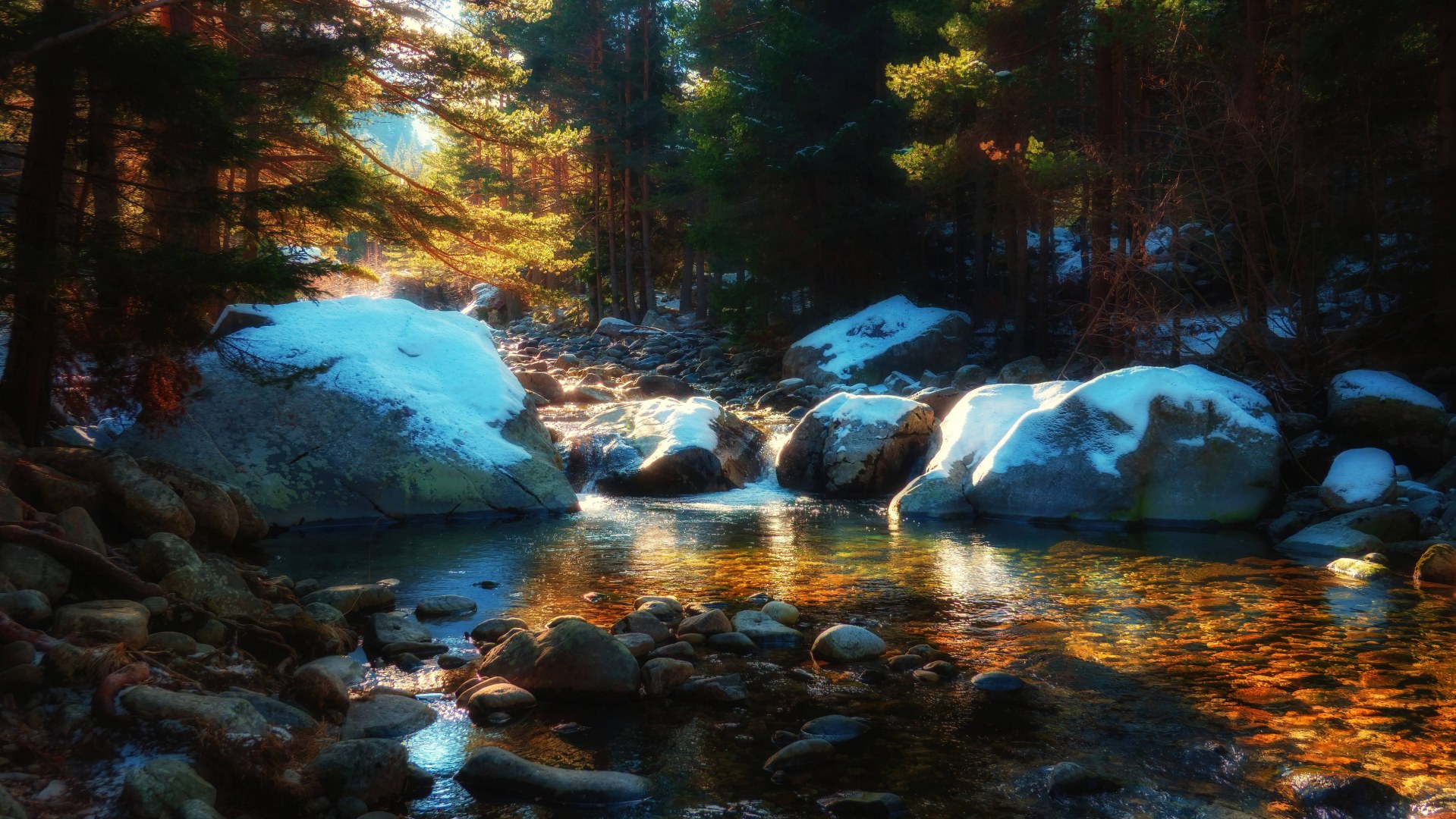 Екопътека "Бели Искър" -28.12.25г.