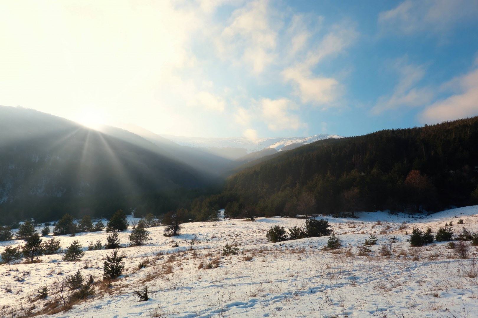 Из Витошките Чукари -18.01.26г.