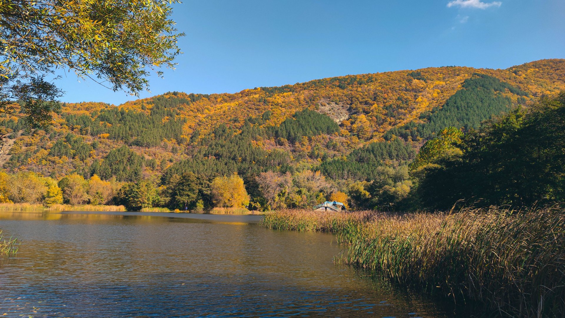 Панчарево през есента